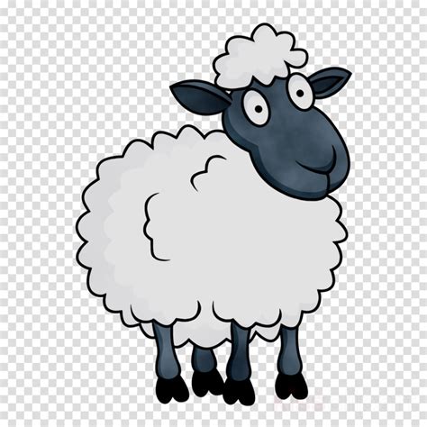 Download High Quality Sheep Clipart Transparent Transparent Png Images