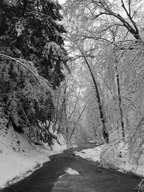 Pin By Chris Bennem On Winter Scenes Winter Scenes Scenes Outdoor