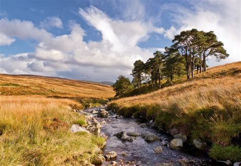 Check spelling or type a new query. nature, Trees, River, Field, Landscape, Clouds, Stream ...
