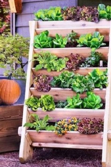 10 Stunning Container Vegetable Garden Design Ideas And Tips Container