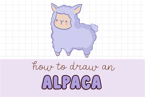 How To Draw A Cute Alpaca Easy Step By Step For Kids