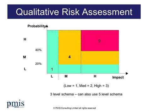 Project Risk Assessment Template From Pmis Consulting