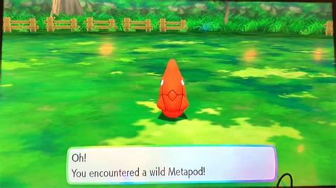 Shiny Metapod In Pokémon Lets Go Pikachu And Lets Go Eevee Pokémon Amino