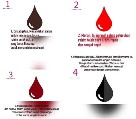 Kenapa Darah Haid Berwarna Hitam Eminence Solutions