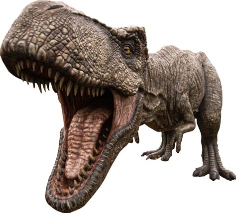 Dinosaurus Trex Tyrannosaurus Foto Gratis Di Pixabay Pixabay