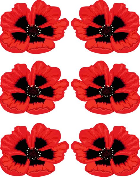 Red Poppy Clipart Clipart Best
