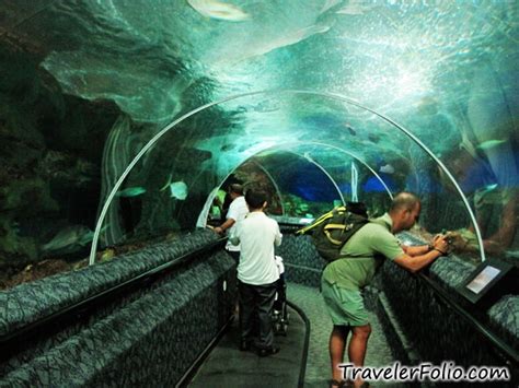 Underwater World Sentosa Travelerfolio Travel And Lifestyle Blog