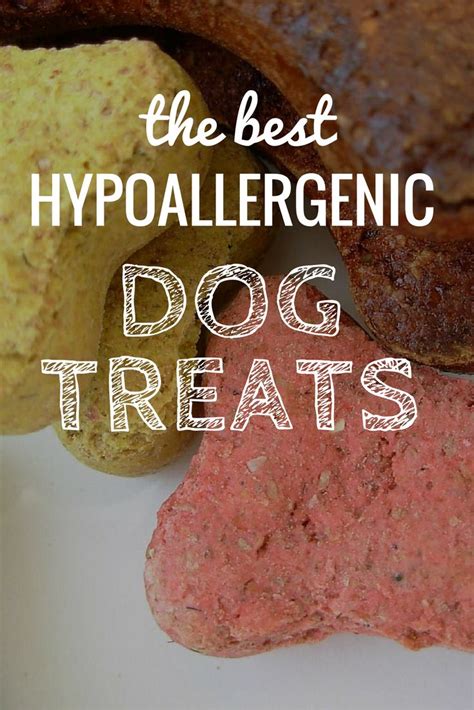 Hypoallergenic dog food recipe determining the allergy. 10 Best Hypoallergenic Dog Treats: Allergy-Free Canine ...