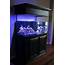 100g Rimless With Suspended Canopy  Tank Builds Austin Reef Club