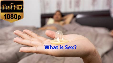 Sexposition Sexeducationoralsextips Sexwhat Is Sex The Meaning