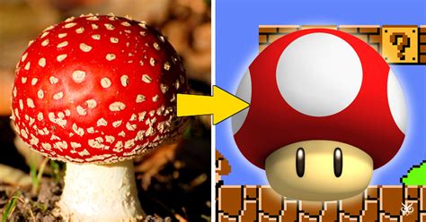 Nintendo Mushroom All Mushroom Info