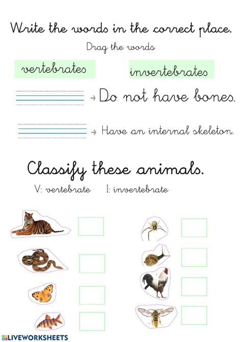 The Animal Kingdom Interactive Worksheet For 1º Primaria You Can Do