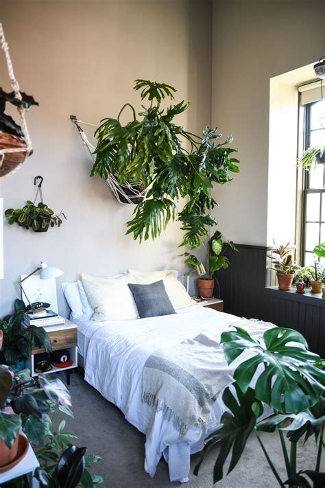 This Balitmore Home Filled Floor To Ceiling With Plants is ... 16 easy container gardening ideas for your potted plants.