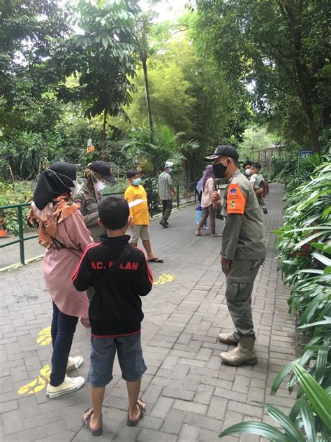 Satuan Polisi Pamong Praja Pol Pp Pariwisata Kota Yogyakarta