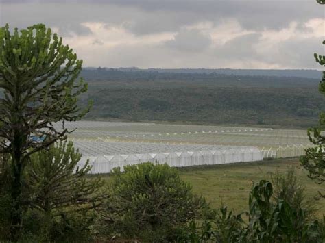 Was ist in der nähe?? Diercke Weltatlas - Kartenansicht - Naivasha (Kenia ...