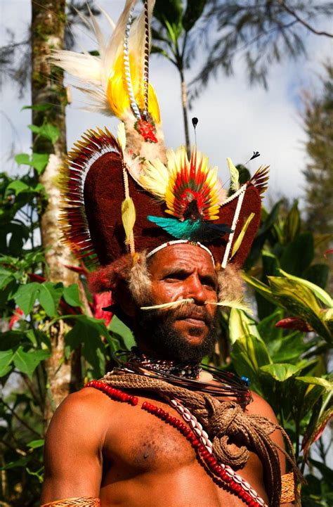11 Magnifiques Portraits Des Papous De Nouvelle Guinée Nouvelle