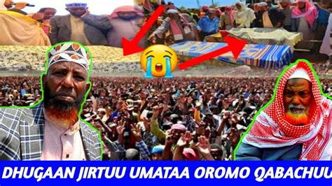 Dhugaan Jirtuu Tanumaa Umanii Oromo Enyuu Akka Jalatuu Mulisee Youtube