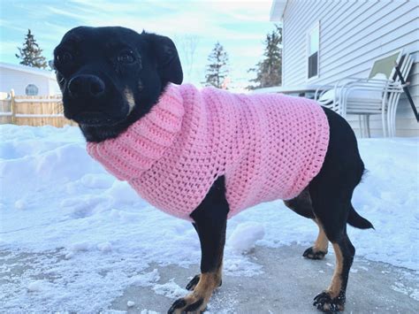 Beginner Dog Sweater Free Pattern North Of Normal Knots Dog