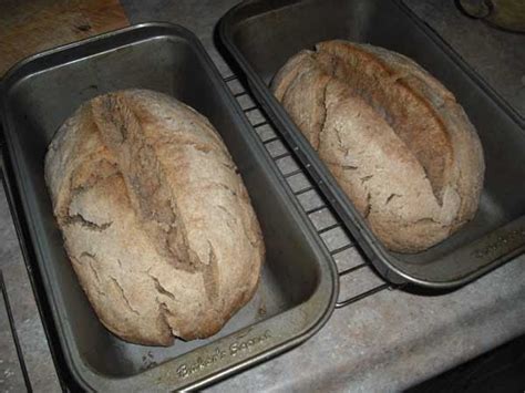 Today, it is commonly blended (in a smaller proportion) with wheat to make conventional breadmaking flour. exorphin junkie: 100% Barley Bread