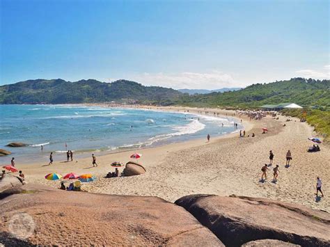 Praia Mole Florianópolis Santa Catarina Local Tour
