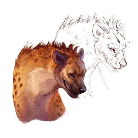 Hyena Study By Corvushound On Deviantart Canine Art Hyena Dog Art