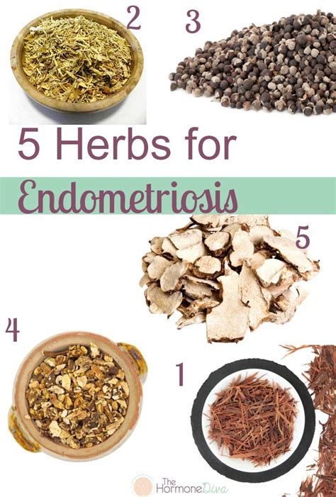 Herbal Remedies For Endometriosis