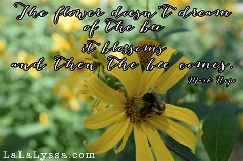 Jun 12, 2021 · bee quotes on the world of bees. Honey Bee Quotes For Facebook. QuotesGram