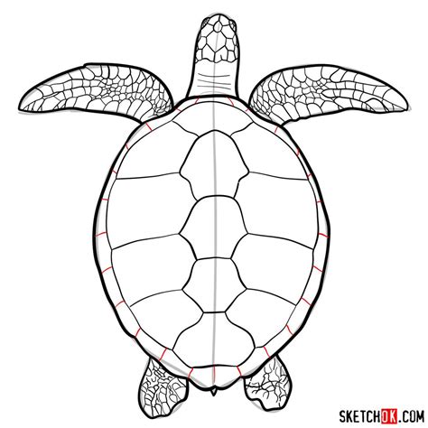How To Draw A Sea Turtle View From The Top Sketchok Easy Drawing Guides