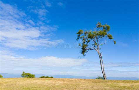 The Blue Sky On Mountain Stock Photo Image Of Plain 203940008