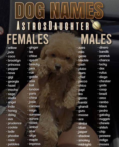 𝐚𝐬𝐭𝐫𝐨𝐬𝐝𝐚𝐮𝐠𝐡𝐭𝐞𝐫🦋 Dog Names Cute Animal Names Cute Names For Dogs