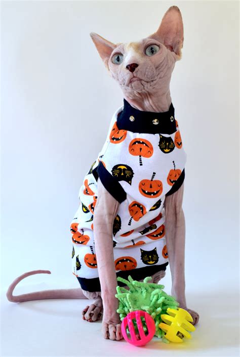 Sphynx Cat Clothing Hairless Hipsters Hairless Hipsters Llc