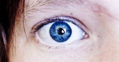 Los Científicos Han Descubierto Que Las Personas Con Ojos Azules Tienen