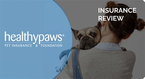 Healthy Paws Pet Insurance Review 2024 Pros Cons And Verdict Hepper