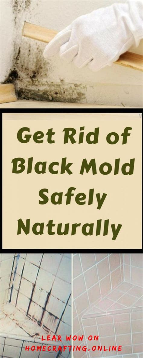 Get Rid Of Black Mold Safely Naturally Home Crafting Remove