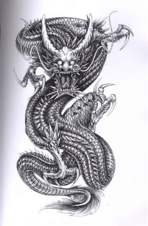 Chinese Dragon Tattoo Drawing At