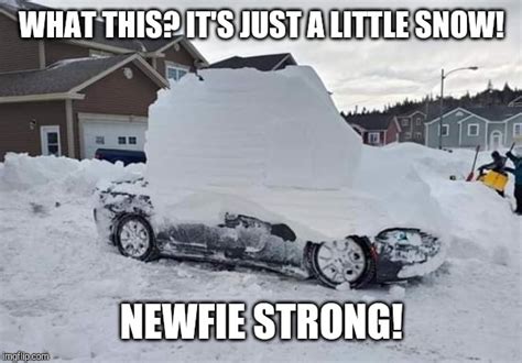 Newfoundland Snowstorm 2020 Imgflip