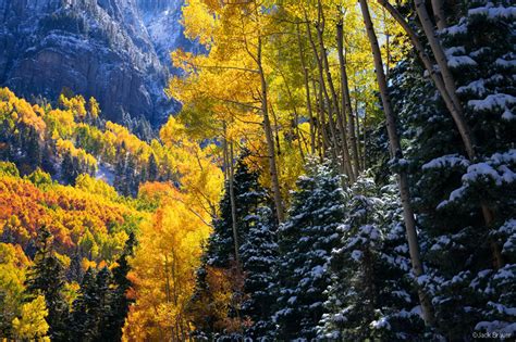 Autumn Colors In Ouray Mountain Photographer A Journal By Jack Brauer