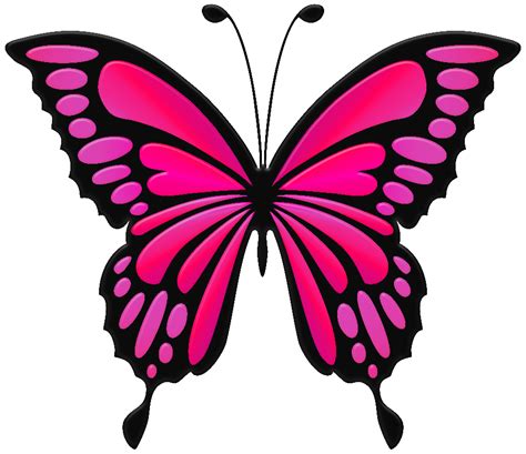 Download High Quality Butterfly Clipart Pink Transparent Png Images