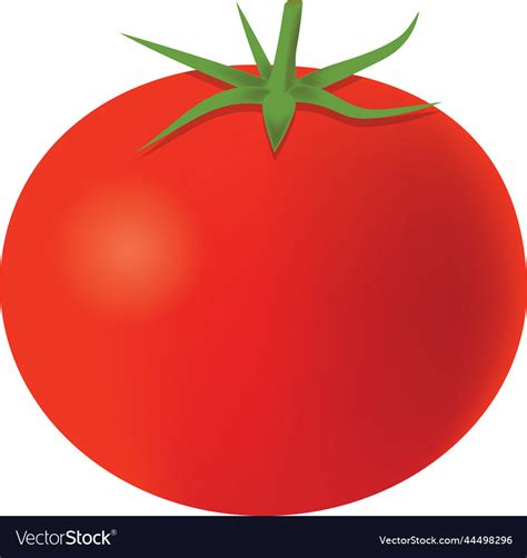 Clipart Tomato Royalty Free Vector Image Vectorstock