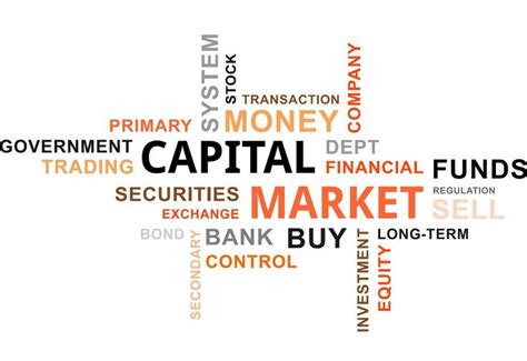 Explain Different Types Of Capital Markets Madalyn Has Kaufman