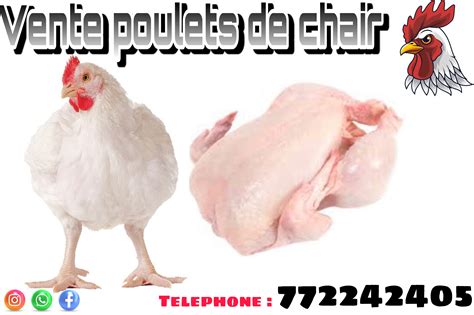 Vente de poulets de chair à Parcelles assainies