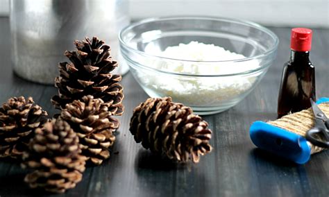 How To Make Scented Pine Cones Hearth And Vine