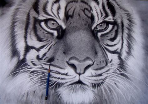 Tigre Matita Su Carta Illustration Art Illustrations Art Tattoo Art