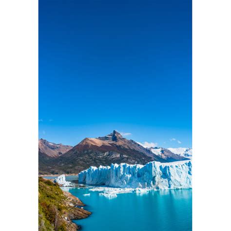 Millwood Pines Perito Moreno Glacier Patagonia On Canvas By Neurobite