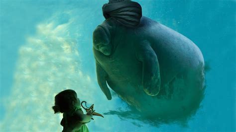 For Manatee Appreciation Day A Photoshop Battle Of Adorable Manatee