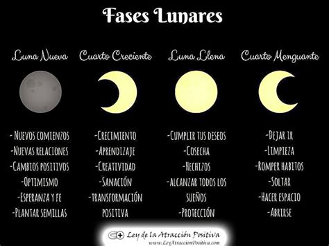 Las Fases De La Luna ¿cómo Afectan A Tu Vida Ley De La Atracción