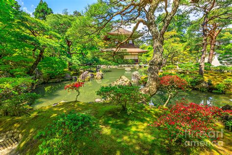Ginkaku Ji Temple Kyoto Photograph By Benny Marty Fine Art America