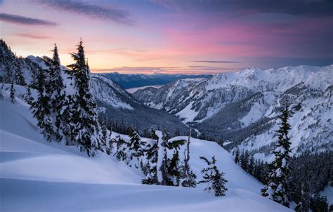 Wallpaper Winter Snow Trees Mountains Dawn Valley The Snow