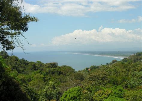 Manuel antonio is a small village on costa rica's western coast. Visit Manuel Antonio on a trip to Costa Rica | Audley Travel