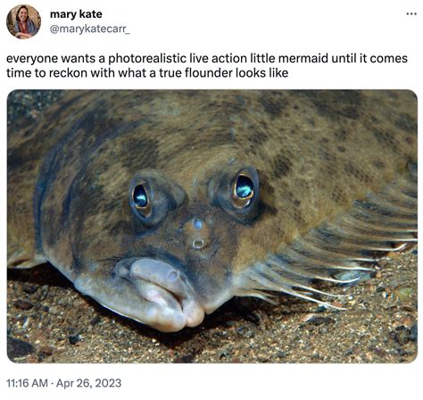A Real Flounder Live Action Flounder Know Your Meme